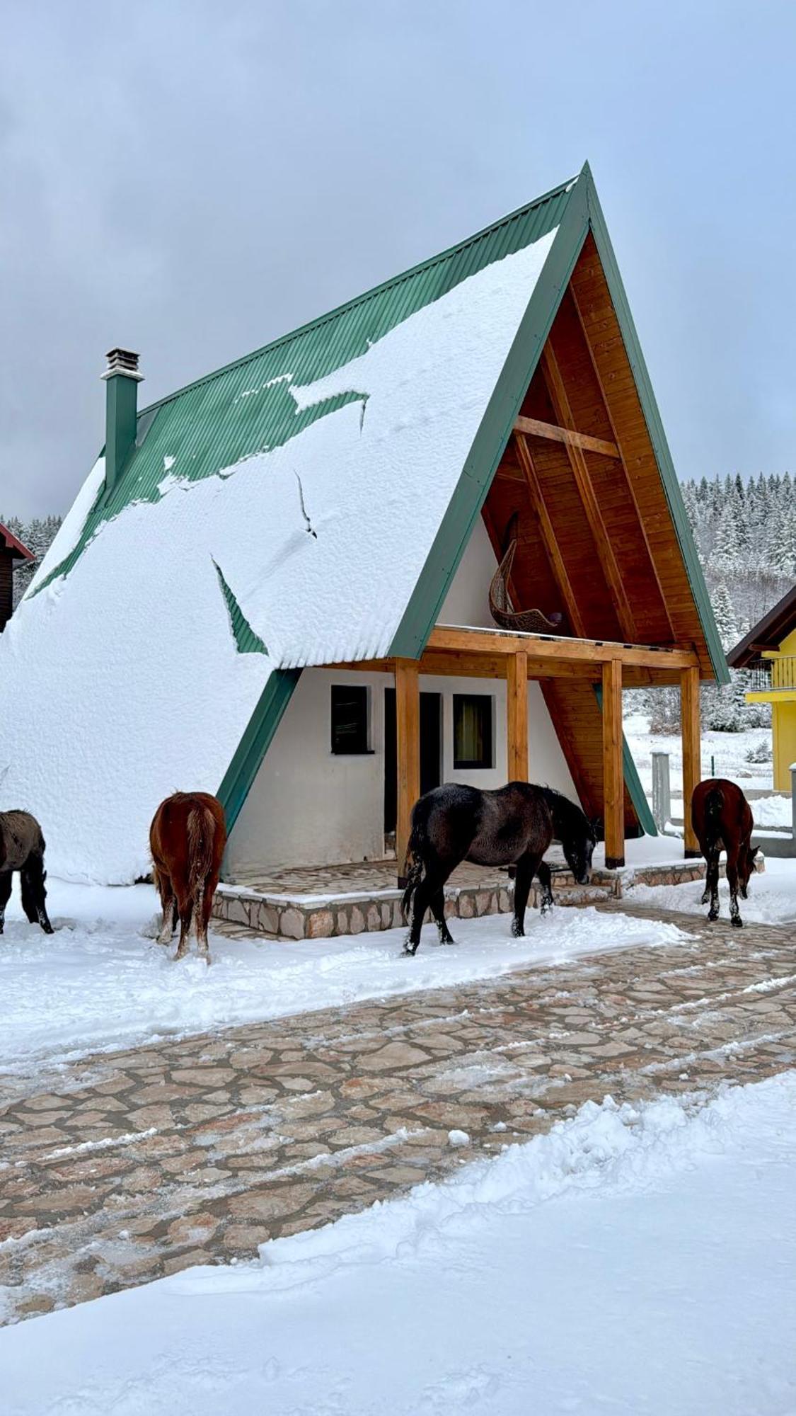 Woodside Zabljak ภายนอก รูปภาพ